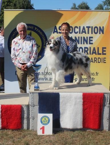 Groupe 2 — Bouvier Bernois