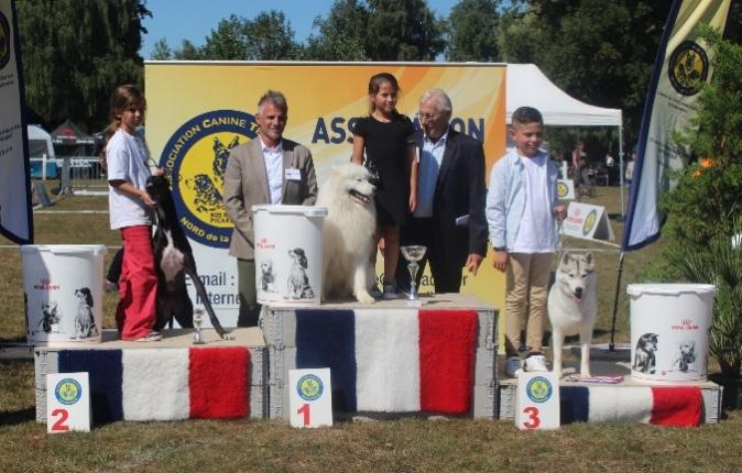 Podium Meilleur Lot d&rsquo;Affixe