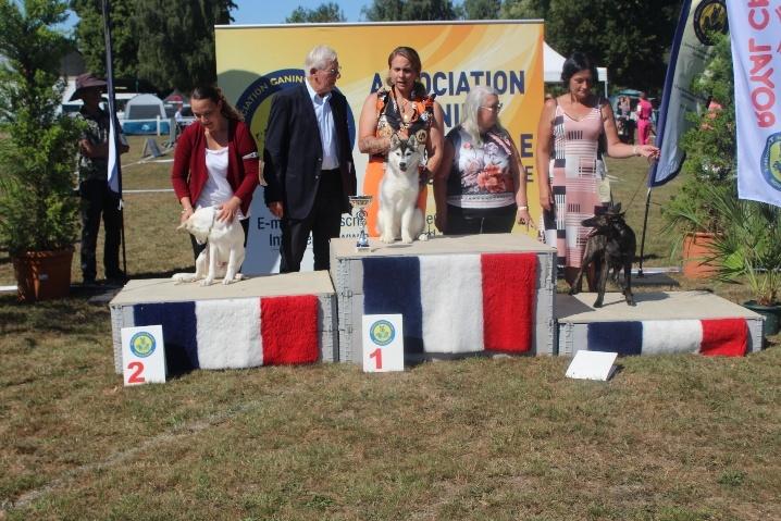 Podium Meilleur Baby
