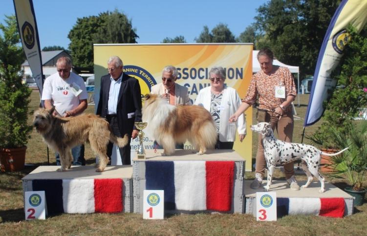 Podium Meilleur Champion