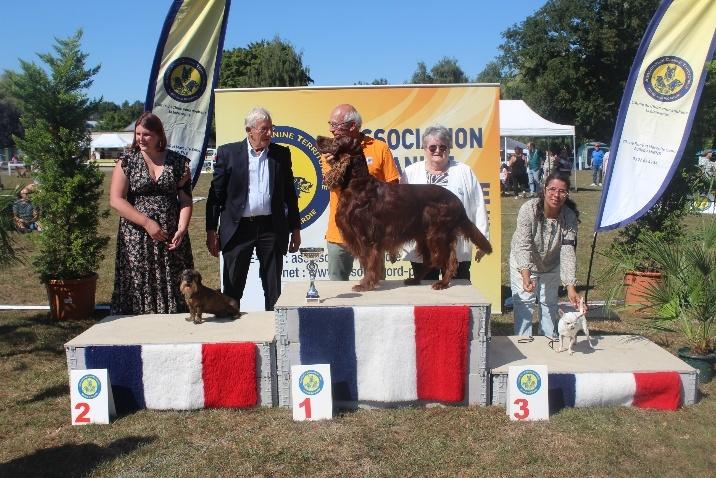 Podium Meilleur Puppy